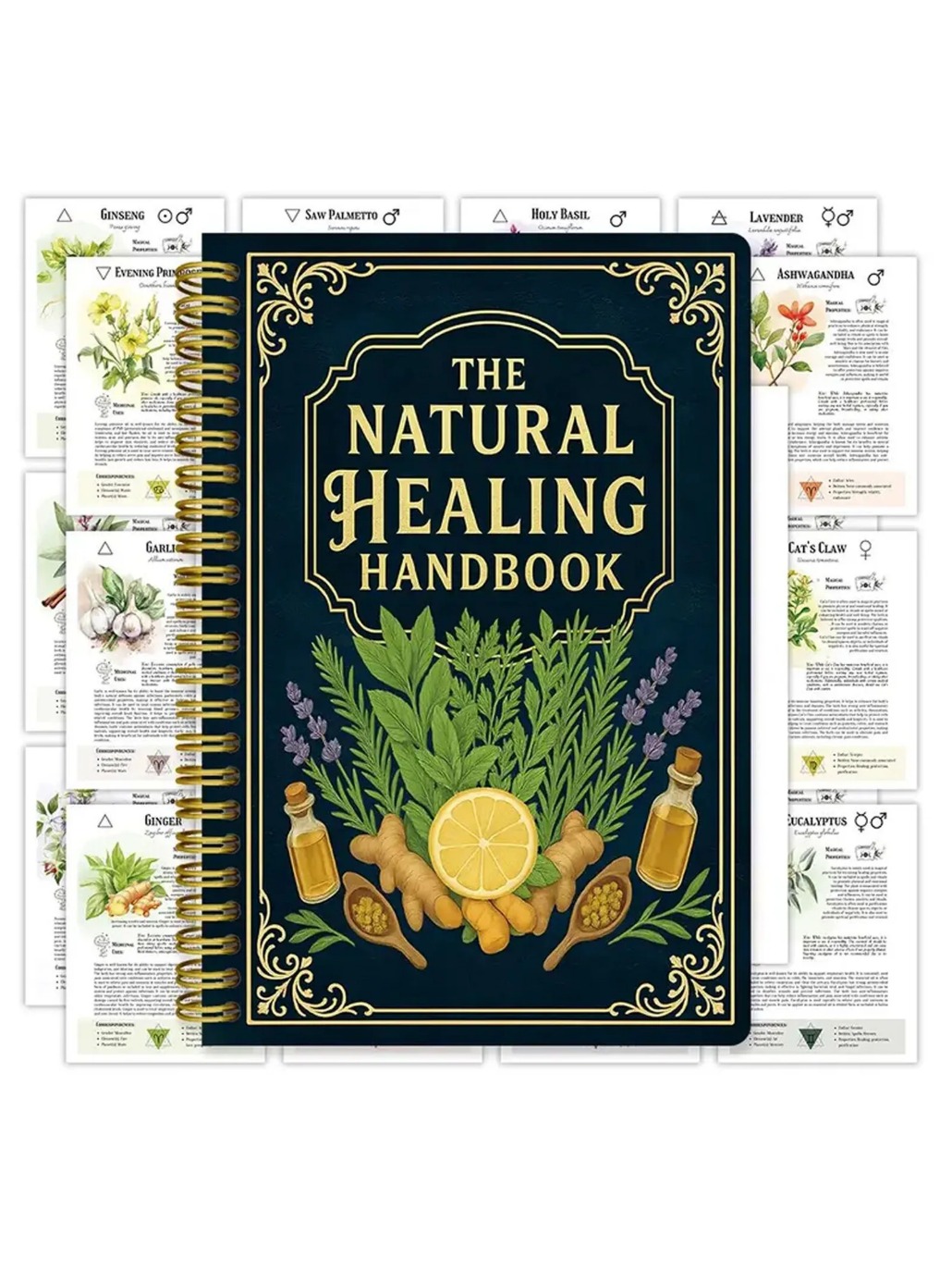 Health Wellness Guide - 2026 Natural Healing Handbook By Luna