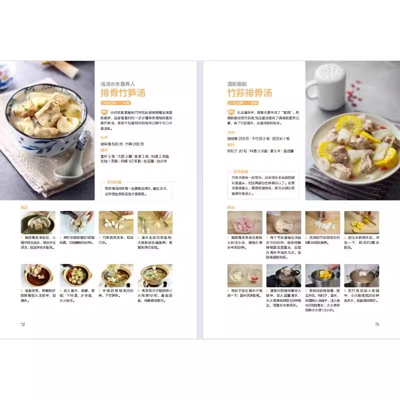The Art of Chinese Soup Making - đánh giá và giá Health Wellness Guide