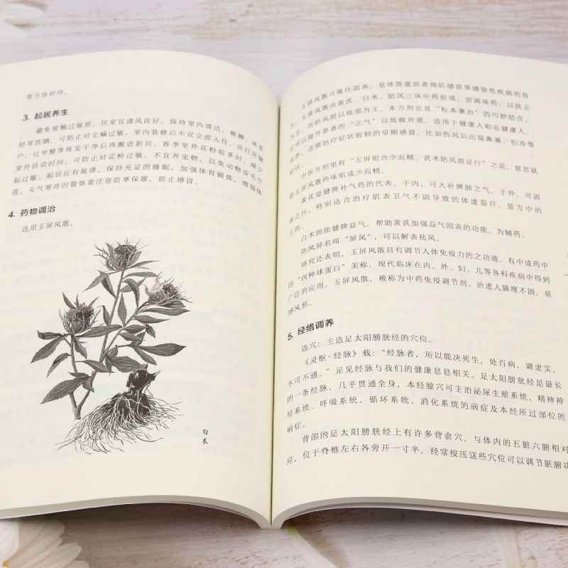 TCM Body Constitution Types Bo - đánh giá và giá Health Wellness Guide