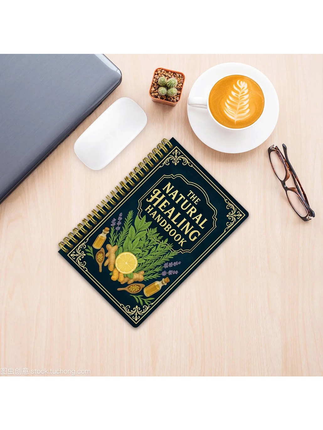 2026 Natural Healing Handbook  - đánh giá và giá Health Wellness Guide