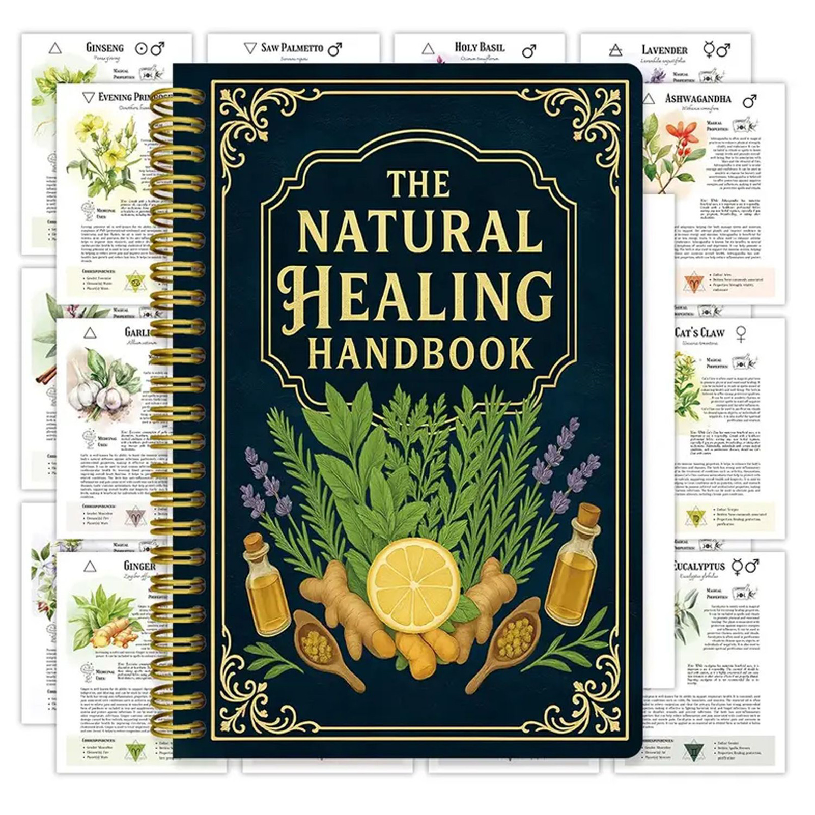 Natural Healing Handbook By Lu - đánh giá và giá Health Wellness Guide